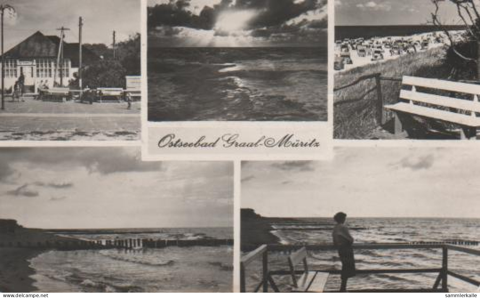 8330 - Ostseebad Graal-Müritz - 1958 - Graal-Müritz