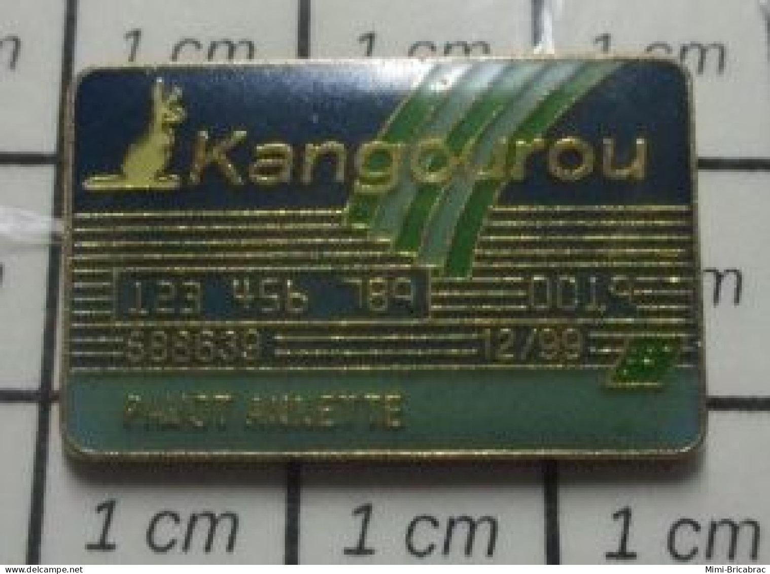 511A Pin's Pins / Beau Et Rare / BANQUES / CARTE KANGOUROU DE ANNETTE PAVOT C'est Stupéfiant ! - Bancos