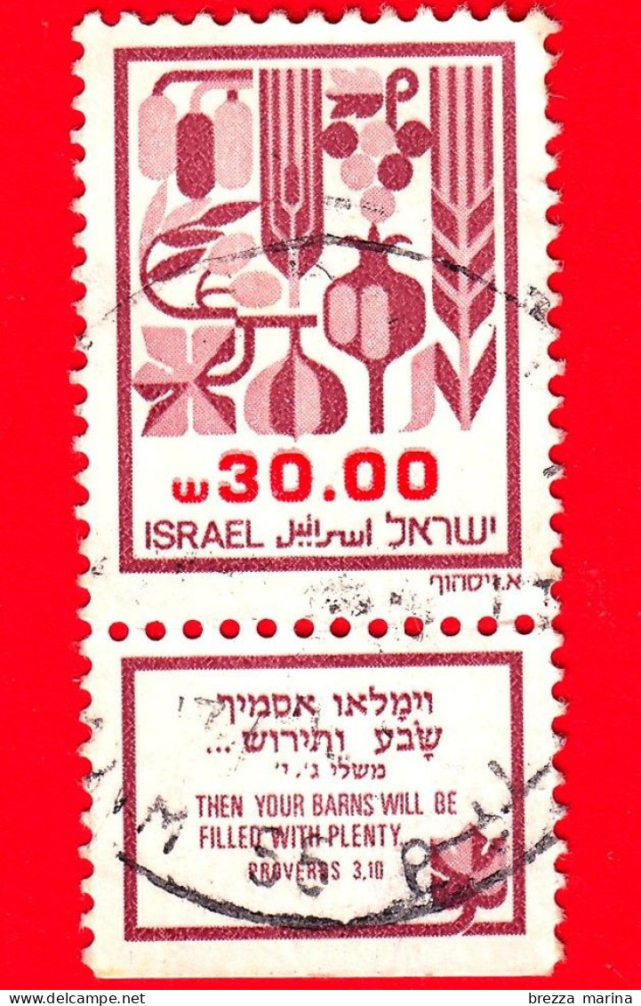 ISRAELE - Usato - 1985 - Le Sette Spezie Di Canaan - 30.00 - Gebruikt (met Tabs)