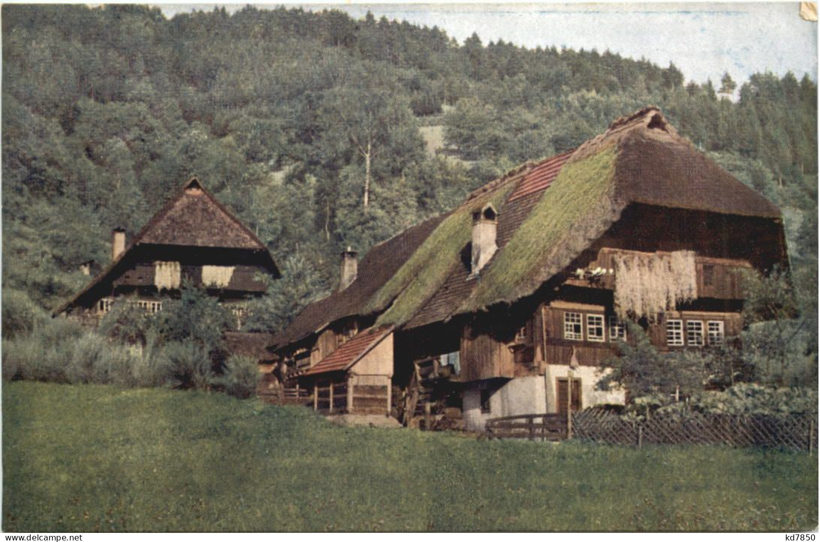 Schwarzwaldhaus Im Gutachtal - Gutach (Breisgau)