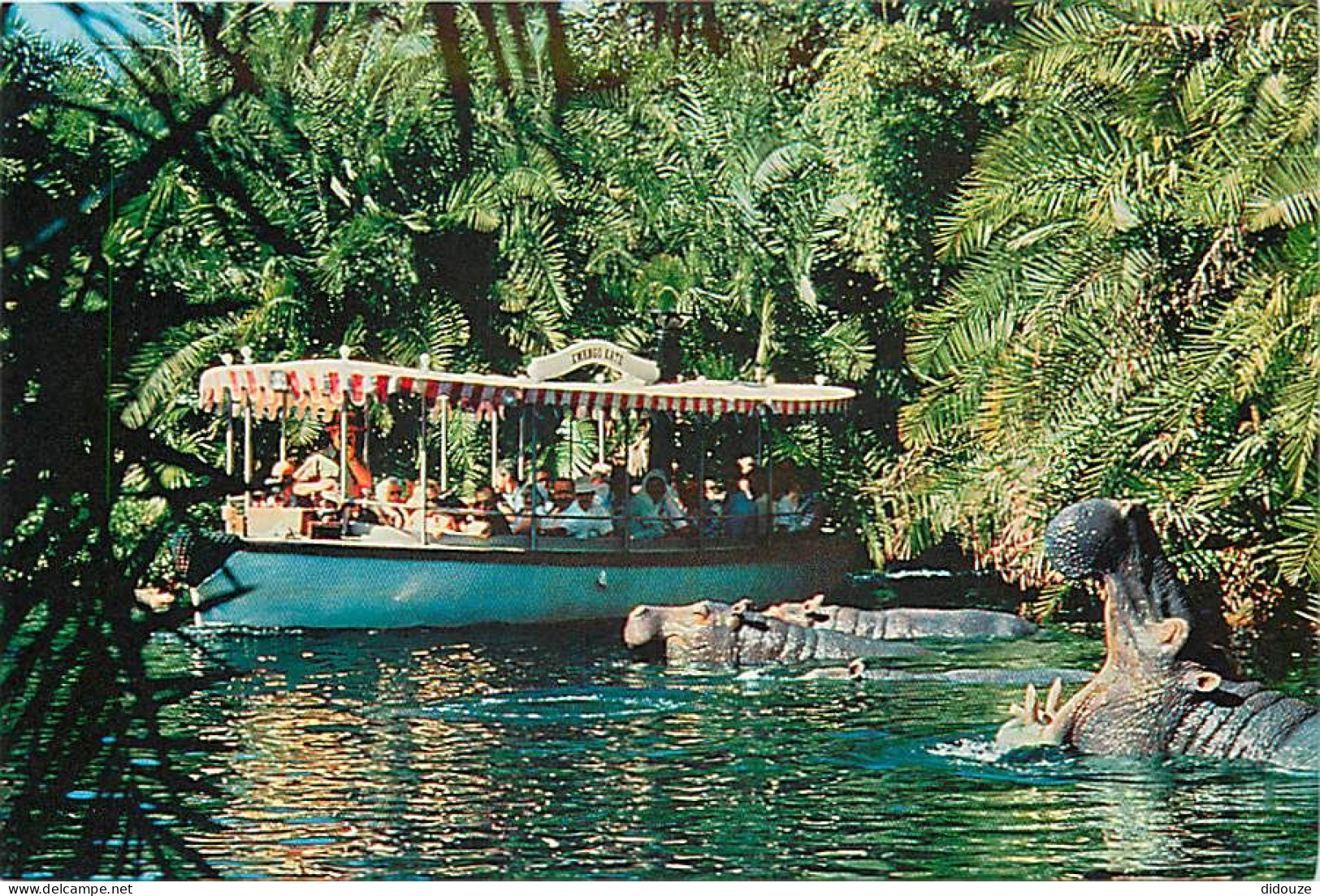 Parc D'Attractions - Walt Disney World - Jungle Cruise - Bateaux - Hippopotame - Etats-Unis - Floride - Orlando - Carte  - Disneyworld