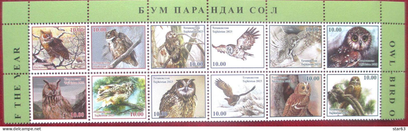 Tajikistan  2023  Owl Bird Of The Year   12 V  MNH - Hiboux & Chouettes