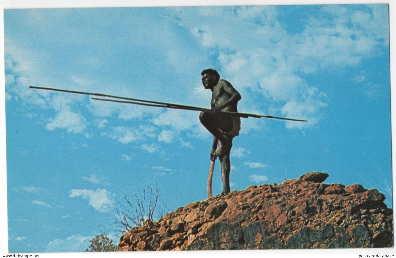 Aboriginal Hunter - Aborigeni