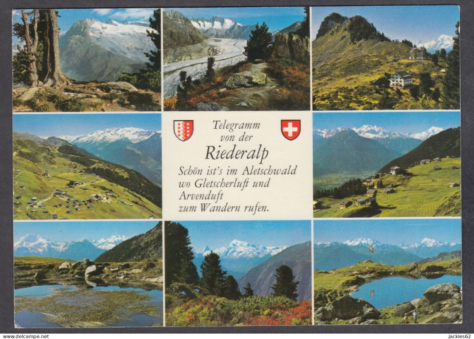 126425/ RIEDERALP Am Grossen Aletschgletscher - Riederalp