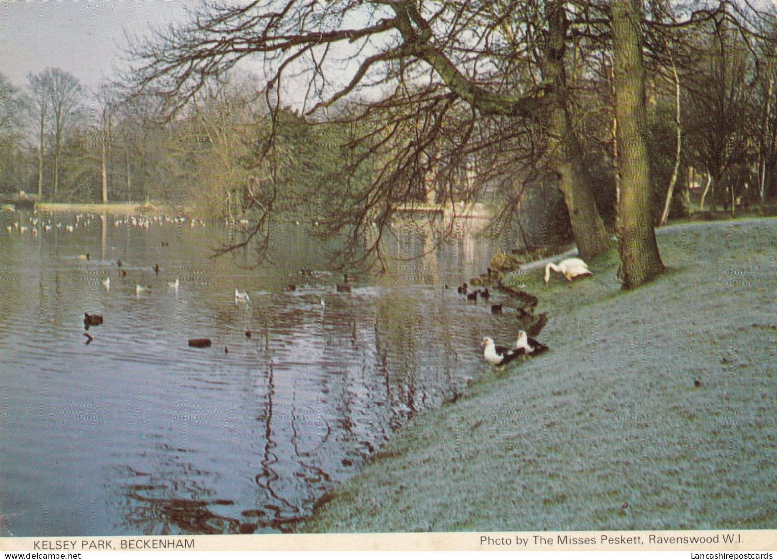 Postcard Kelsey Park Beckenham [ Bromley London ] My Ref B26392 - London Suburbs
