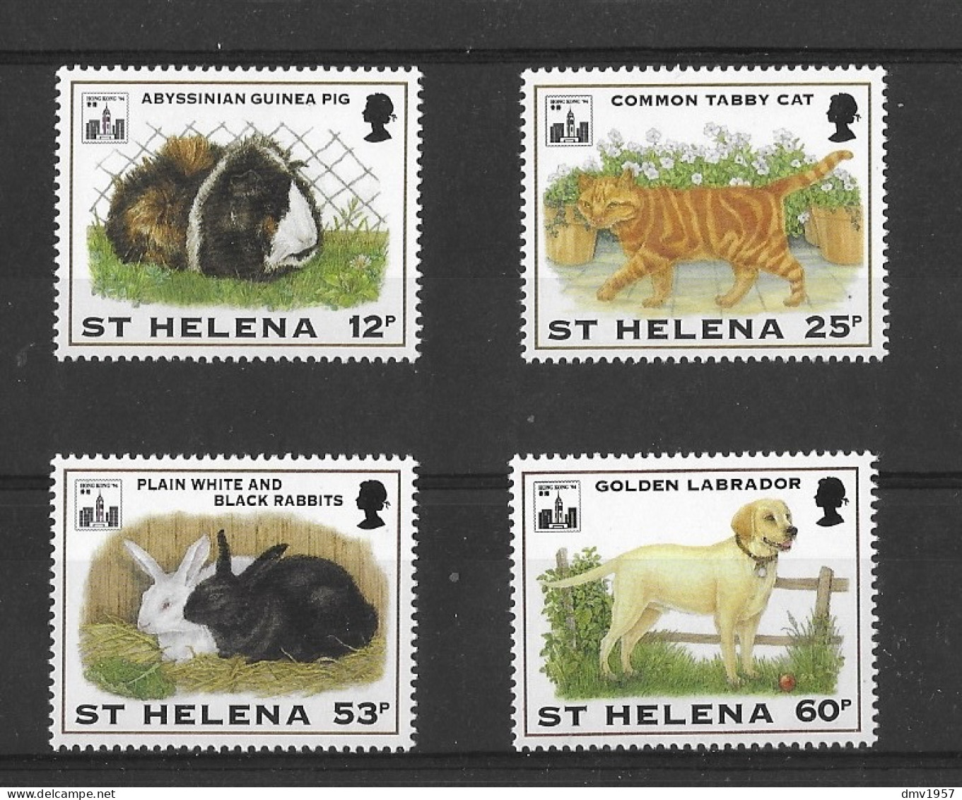 St Helena 1994 MNH Hong Kong 94 Int'l Stamp Exh, Pets Sg 659/62 - Saint Helena Island