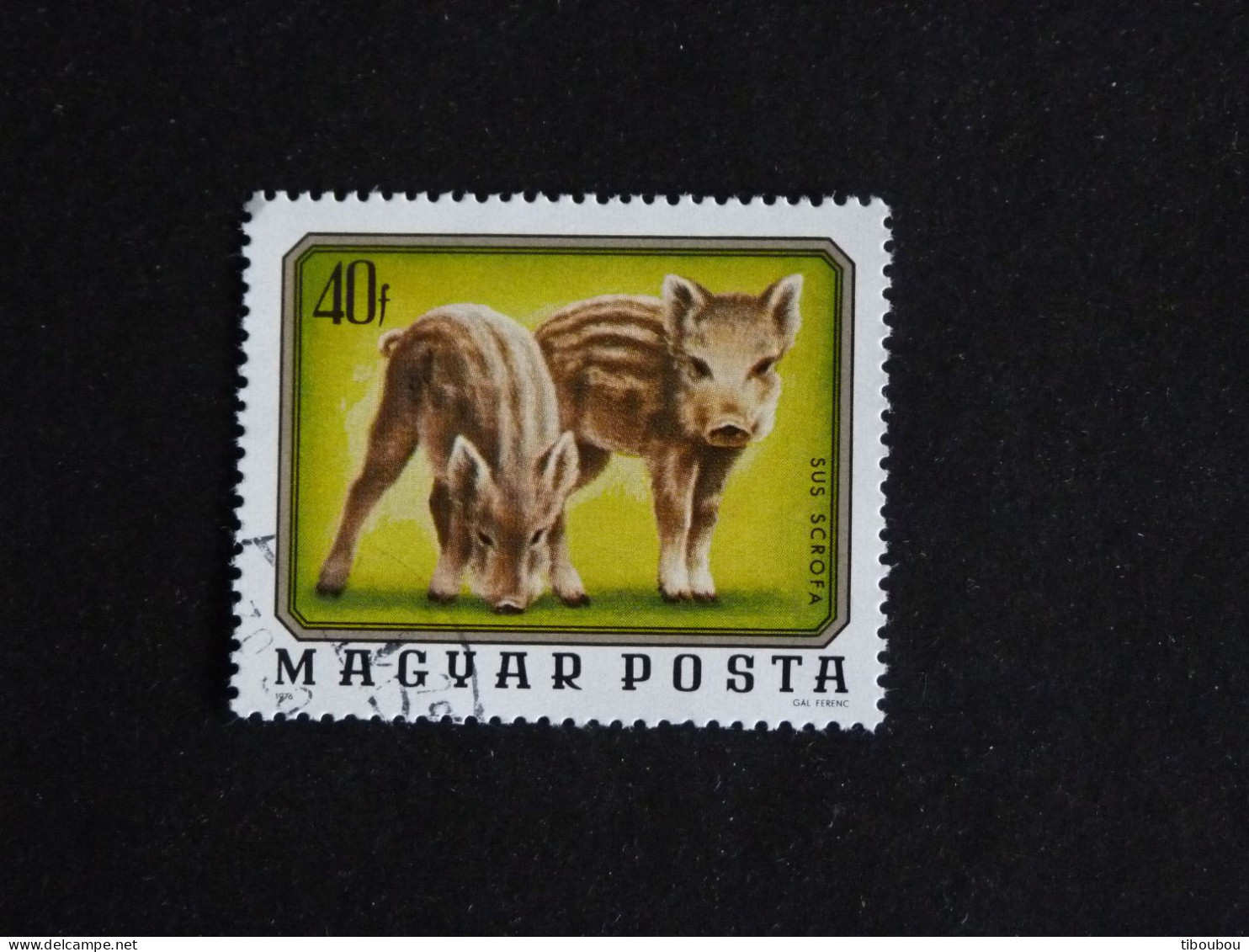 HONGRIE HUNGARY MAGYAR YT 2480 OBLITERE - MARCASSIN SANGLIER WILD BOAR - Gebraucht