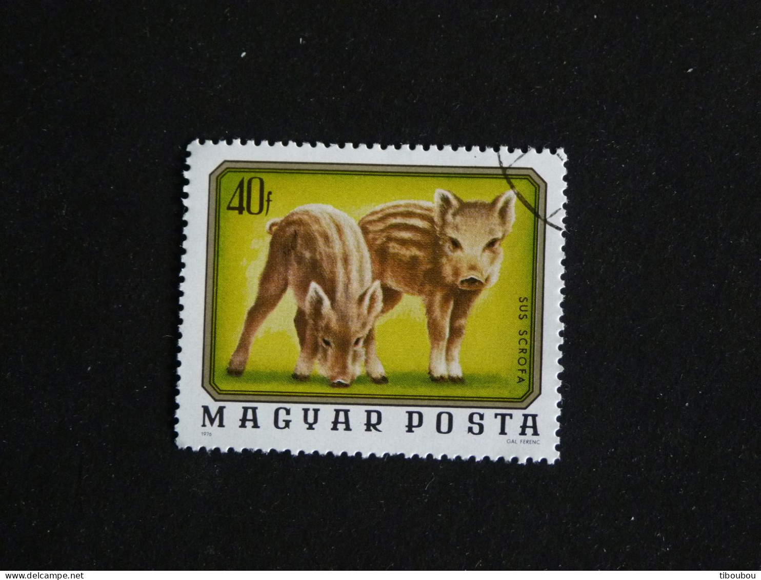 HONGRIE HUNGARY MAGYAR YT 2480 OBLITERE - MARCASSIN SANGLIER WILD BOAR - Oblitérés