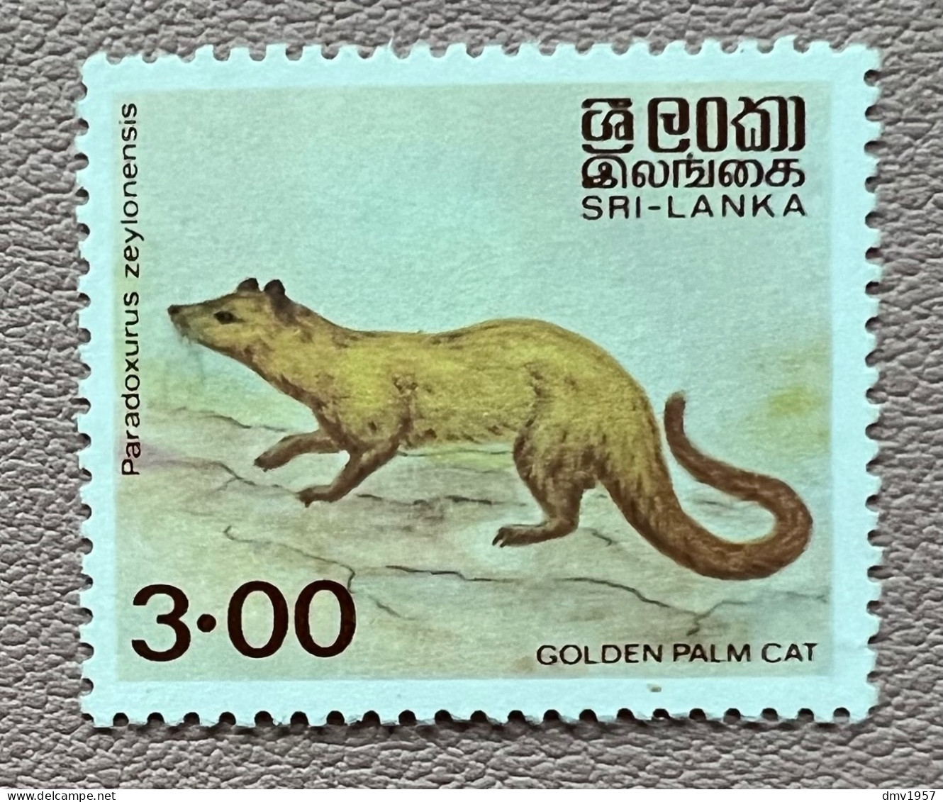 Sri Lanka 1982 Golden Palm Cat Sg 781 (without Surcharge & Showing Revised F/V) - Sri Lanka (Ceylon) (1948-...)