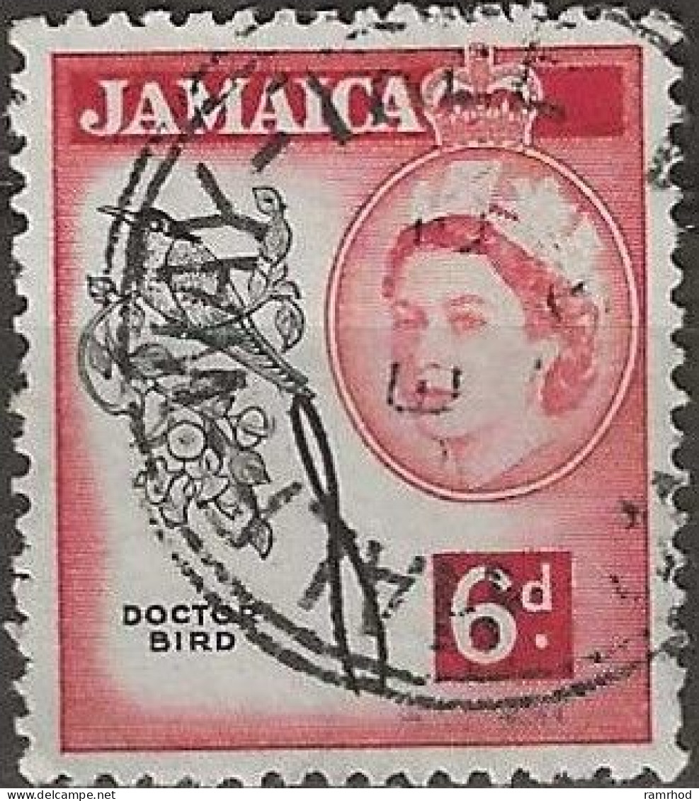 JAMAICA 1956 Queen Elizabeth II - Streamertail - 6d. - Black And Red FU - Jamaica (...-1961)