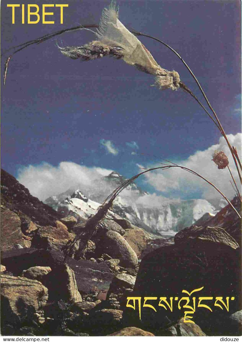 Tibet - Montagnes Tibetaines - CPM - Carte Neuve - Voir Scans Recto-Verso - Tíbet