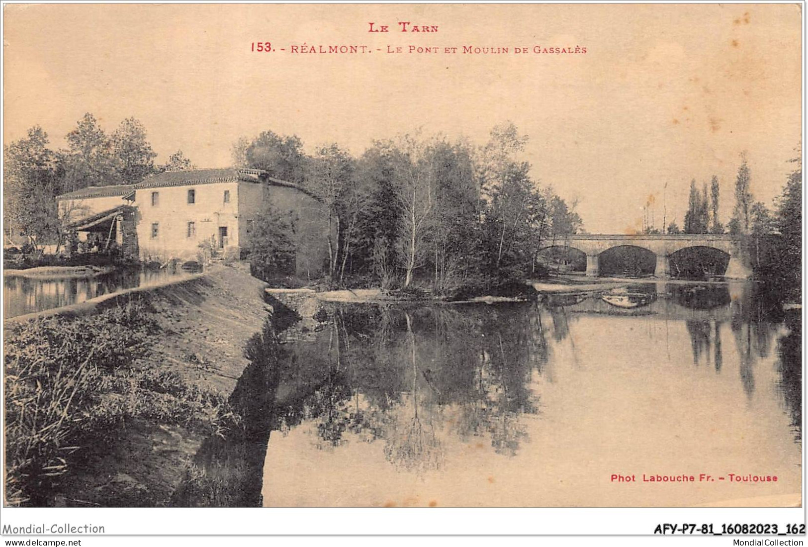 AFYP7-81-0661 - Le Tarn - REALMONT - Le Pont Et Moulin De Gassalès  - Realmont