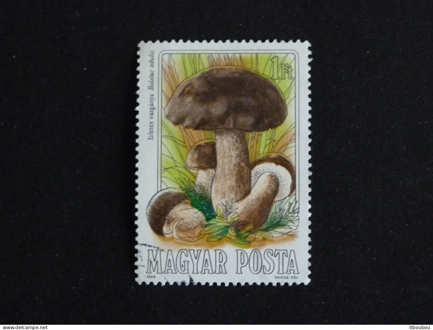 HONGRIE HUNGARY MAGYAR YT 2936 OBLITERE - CHAMPIGNON MUSHROOM / CEPE DE BORDEAUX - Oblitérés