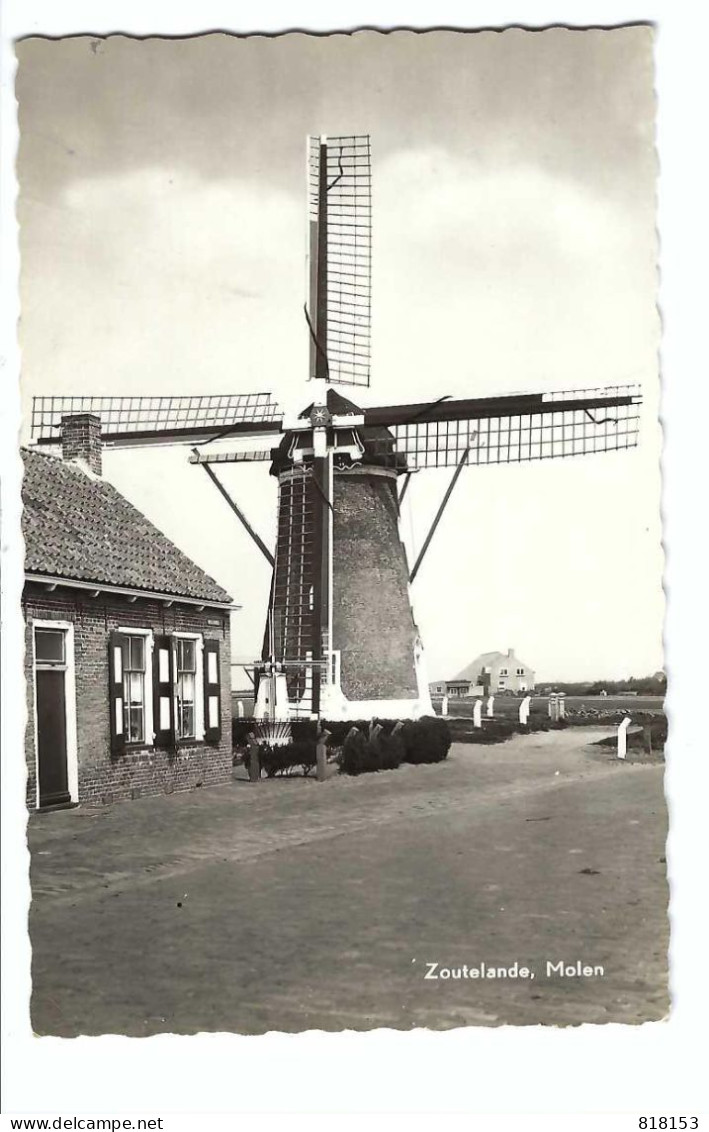 Zoutelande   Molen - Zoutelande