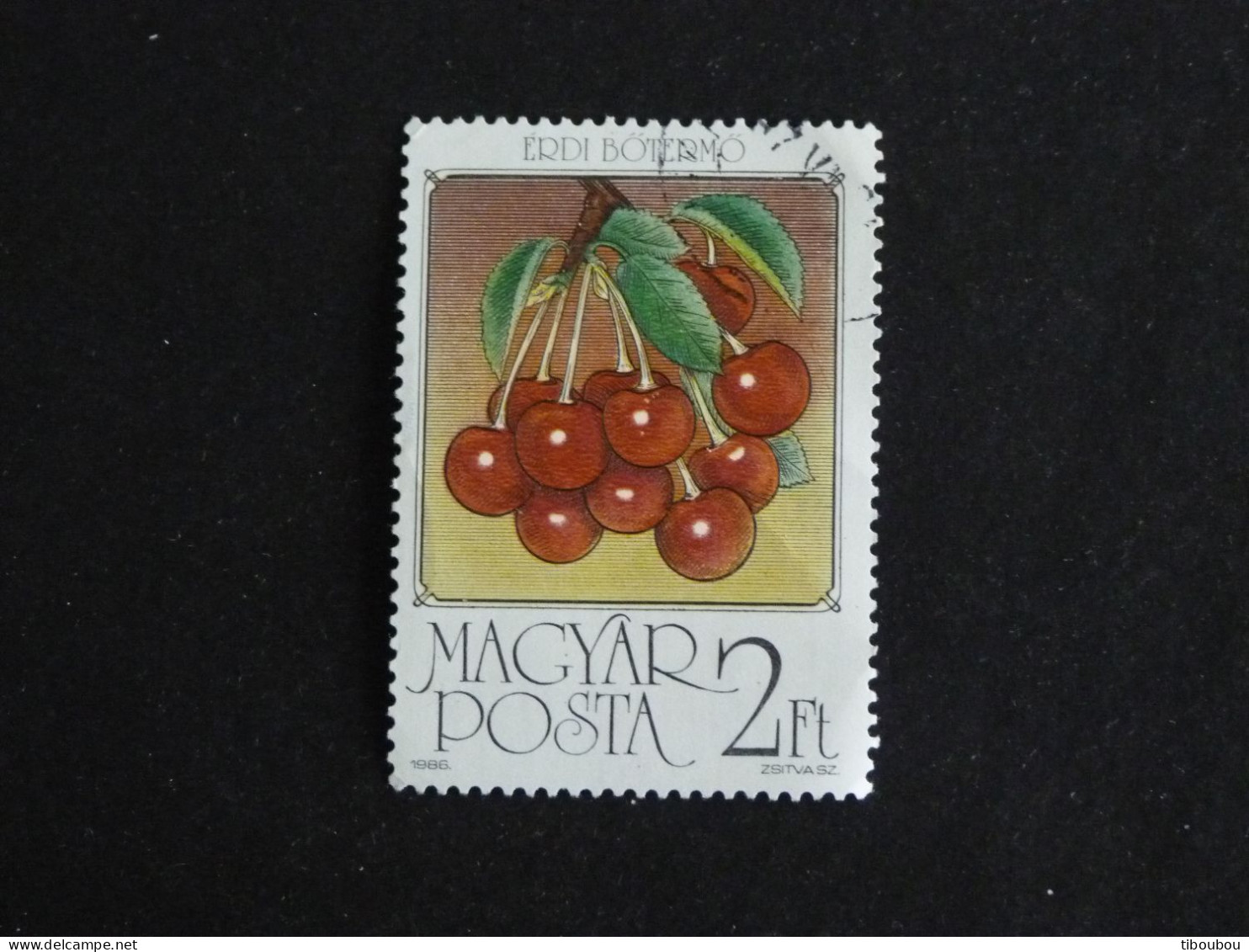 HONGRIE HUNGARY MAGYAR YT 3059 OBLITERE - CERISE FRUIT - Oblitérés