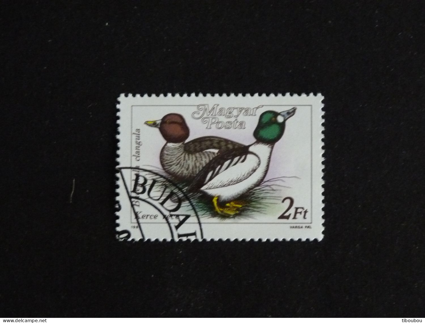 HONGRIE HUNGARY MAGYAR YT 3172 OBLITERE - CANARD DUCK / GARROT A OEIL D'OR - Oblitérés