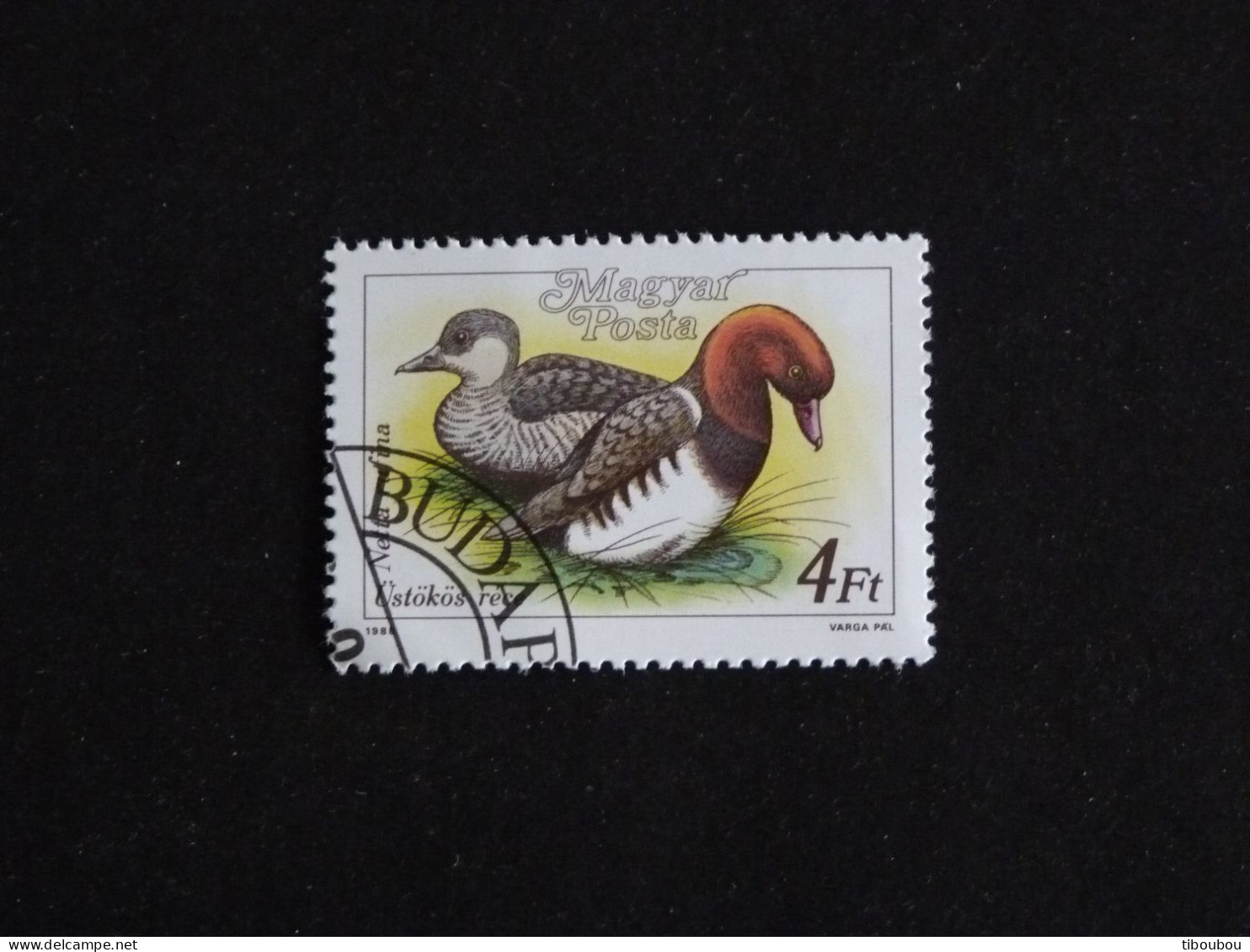 HONGRIE HUNGARY MAGYAR YT 3175 OBLITERE - CANARD DUCK / NETTE ROUSSE - Used Stamps