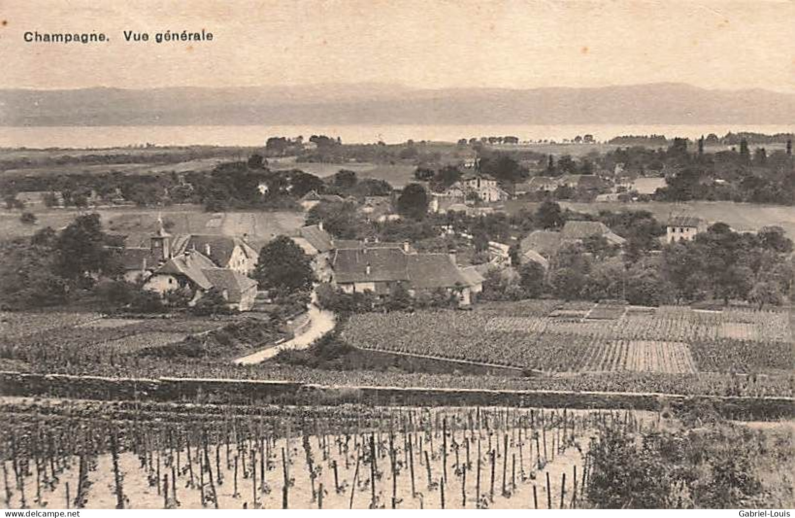 Champagne Vue Générale - Champagne