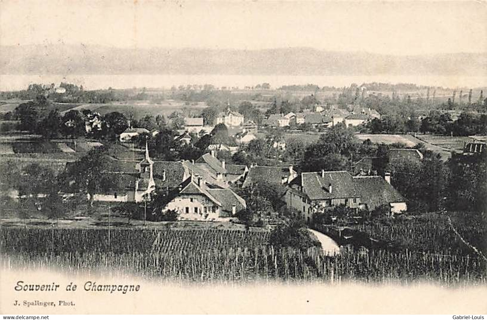 Souvenir De Champagne  1909 - Champagne