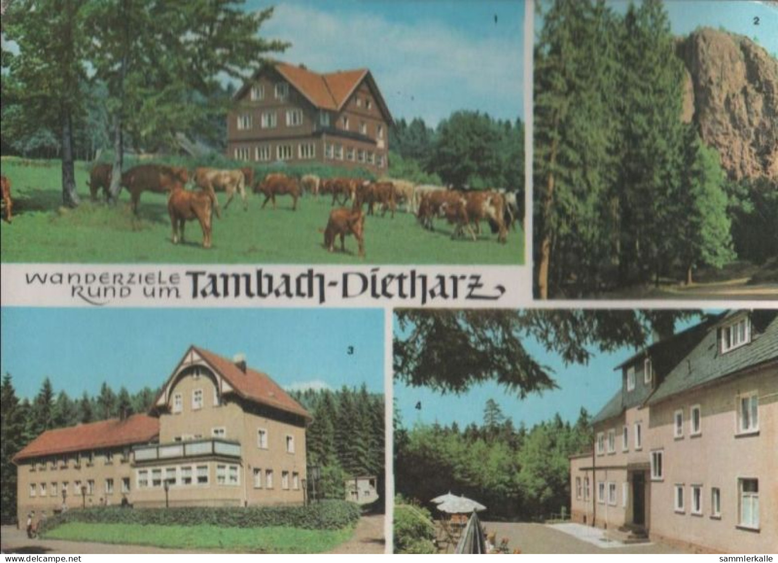 37136 - Tambach-Dietharz - U.a. Berghotel Ebertswiese - Ca. 1975 - Tambach-Dietharz