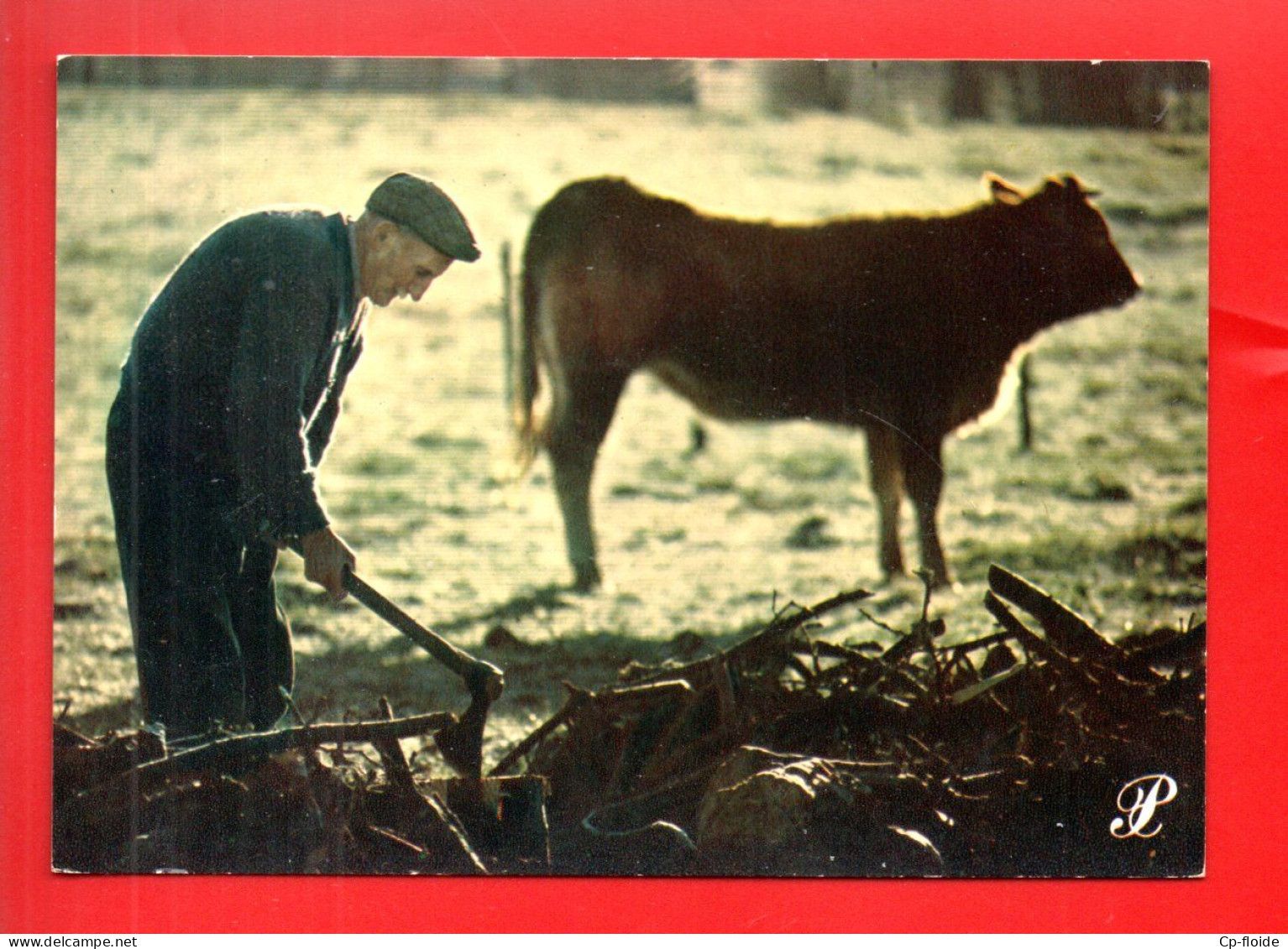 RÉGION . LIMOUSIN . FENDRE LE BOIS DE CHAUFFAGE . COLLECTION PRESTIGE N° 87-P51 - Réf. N°38613 - - Limousin