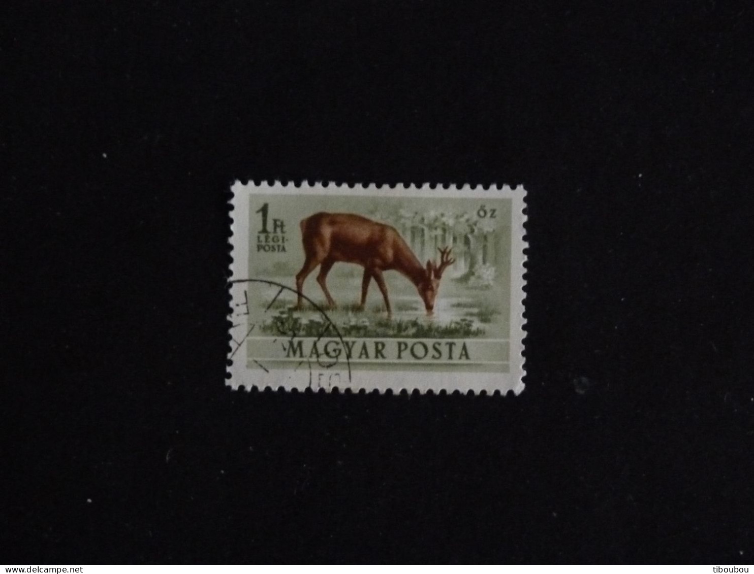 HONGRIE HUNGARY MAGYAR YT PA 143 OBLITERE - CHEVREUIL ROE DEER - Used Stamps