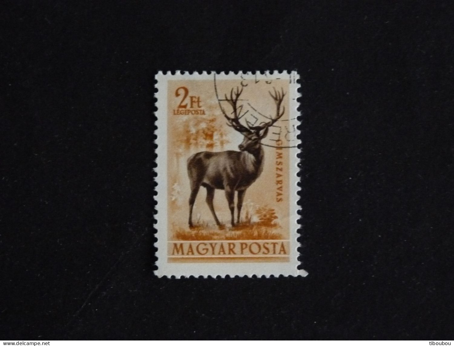 HONGRIE HUNGARY MAGYAR YT PA 145 OBLITERE - CERF DEER STAG - Used Stamps