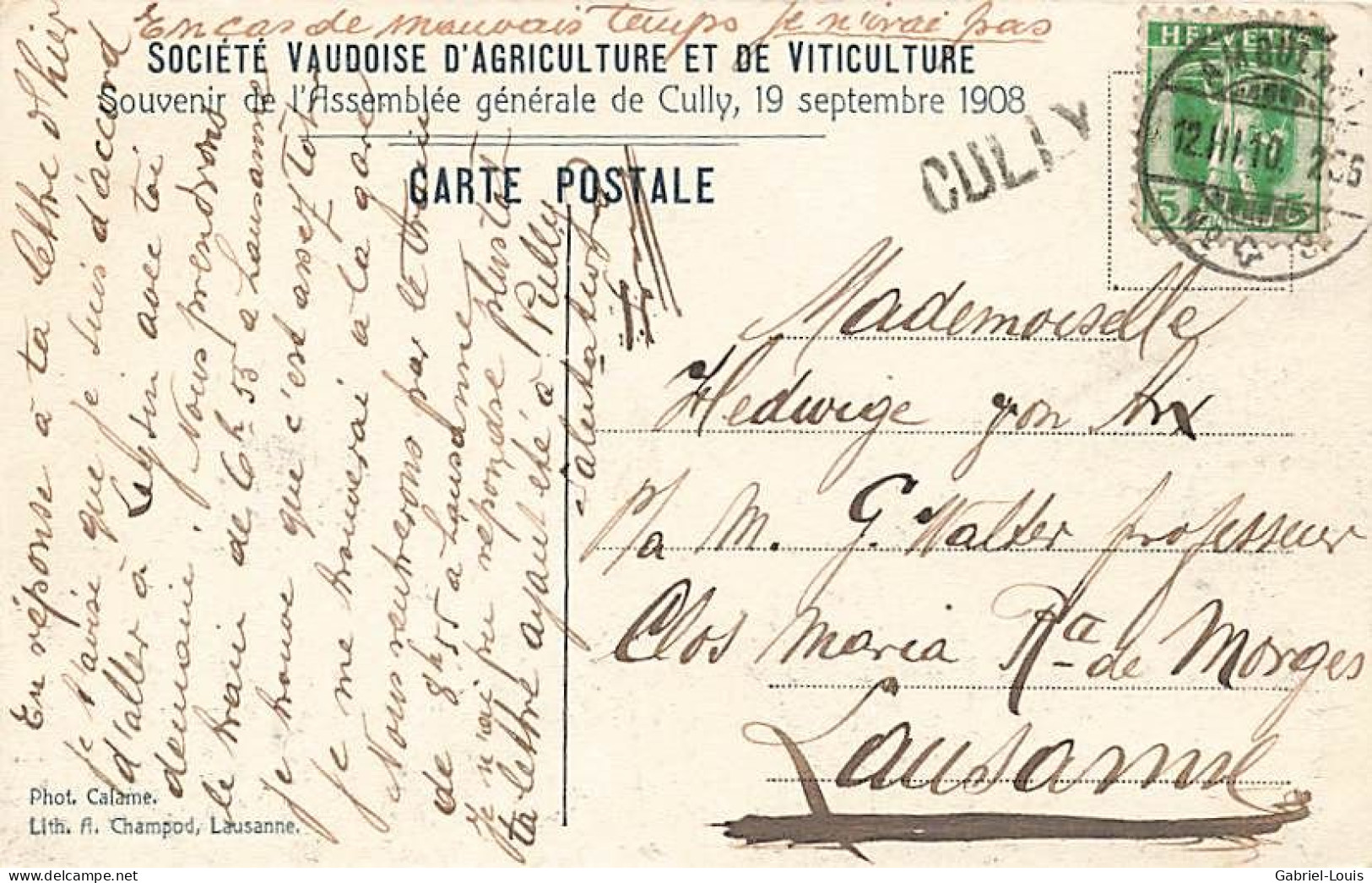 Cully Linéaire 1910 Souvenir De La Société Vaudoise D'agriculture Viticulture 1908 - Cully