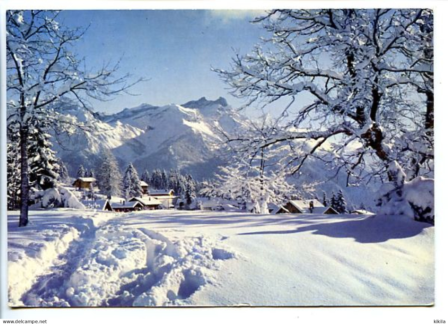 CPSM / CPM 10.5 X 15  Suisse  Canton De Vaud  VILLARS SUR OLLON Les Dents De Morcles  Sous La Neige - Morcles