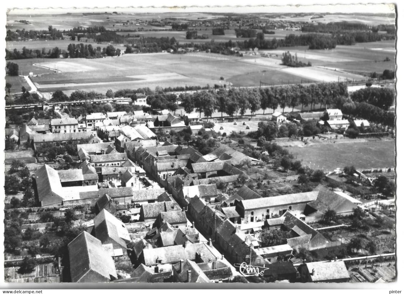 CHAMPIGNY SUR YONNE - Vue Aérienne Sur La Rue Des Nouzeaux - Champigny