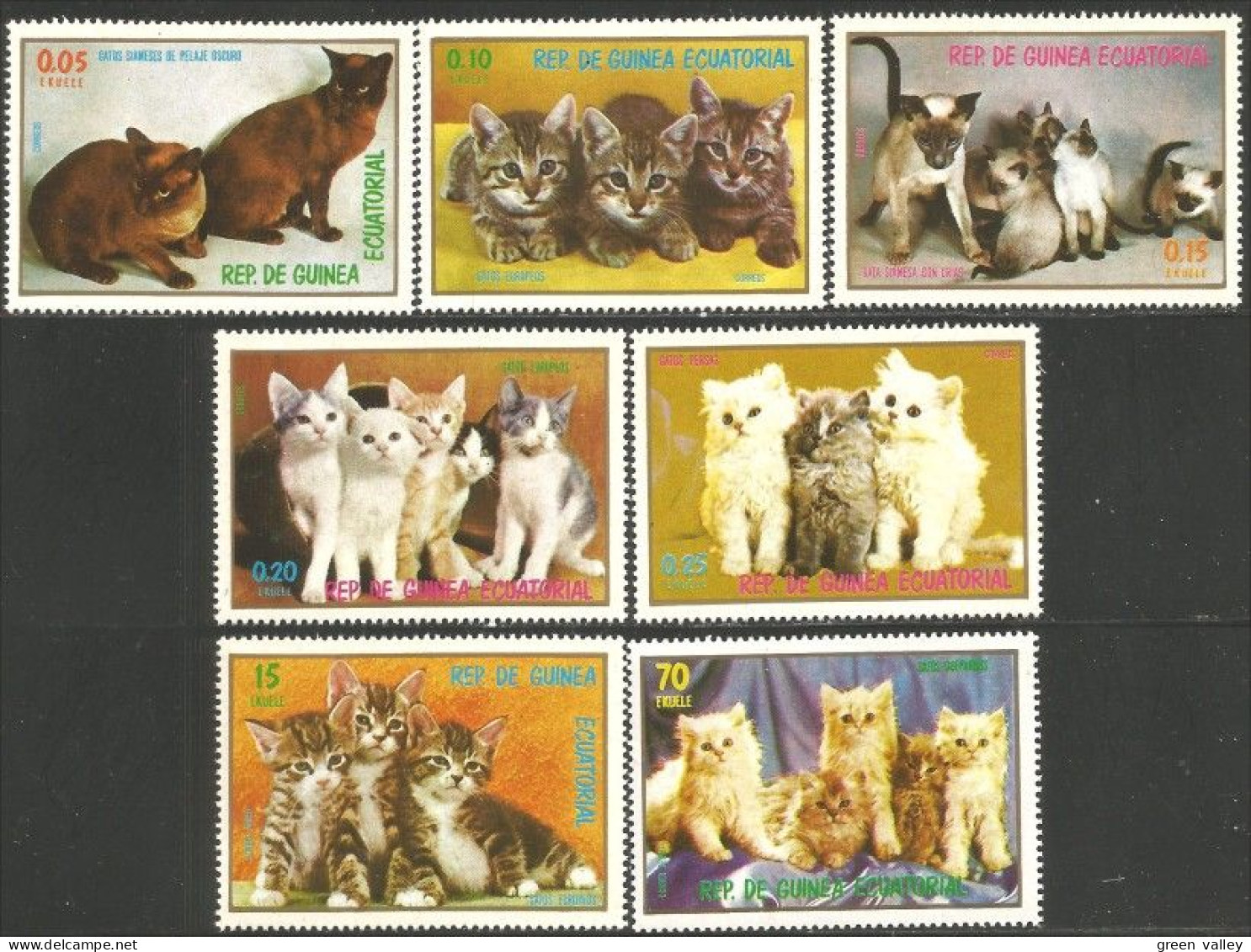 405 Guinée Chats Chatons Cats Kittens Katze MNH ** Neuf SC (GEQ-52a) - Äquatorial-Guinea