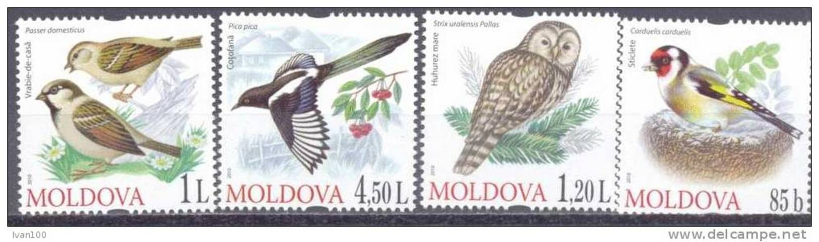 2010. Moldova, Birds Of Moldova, 4v,mint/** - Moldavie