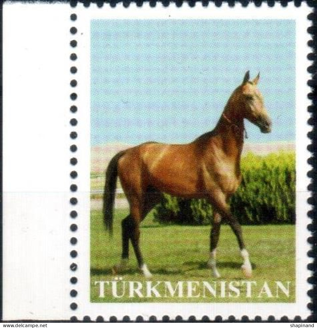 Turkmenistan 2014 "Akhal Teke Stallion" (A Very Rare Stamps Without Of Face Value) 1v. Quality:100% - Turkmenistán