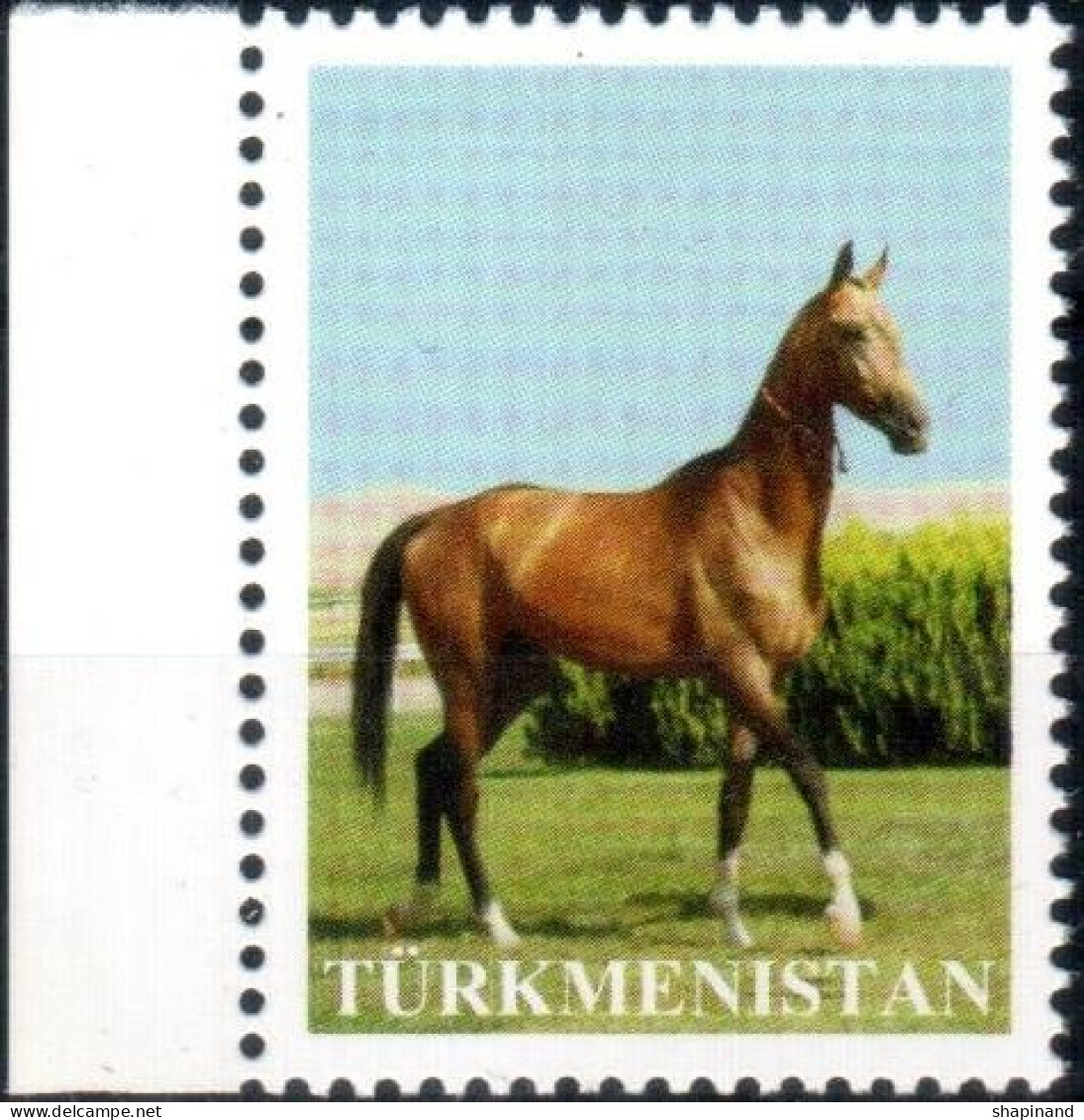 Turkmenistan 2014 "Akhal Teke Stallion" (A Very Rare Stamps Without Of Face Value) 1v. Quality:100% - Turkménistan