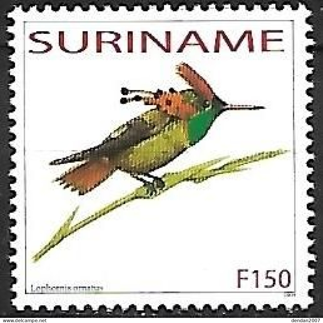 Suriname (Surinam) - MNH ** 2003 :  Tufted Coquette -   Lophornis Ornatus - Colibrì