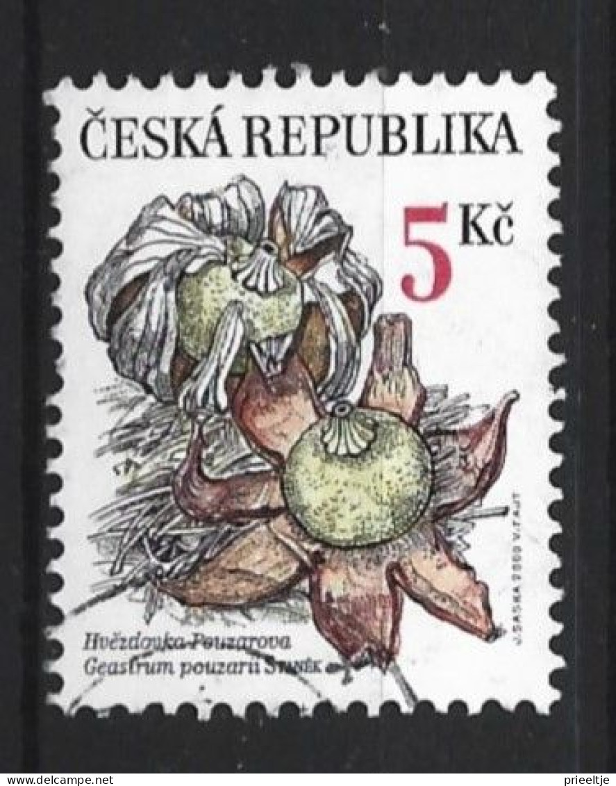 Ceska Rep. 2000 Nature Conservation Y.T.  241 (0) - Used Stamps