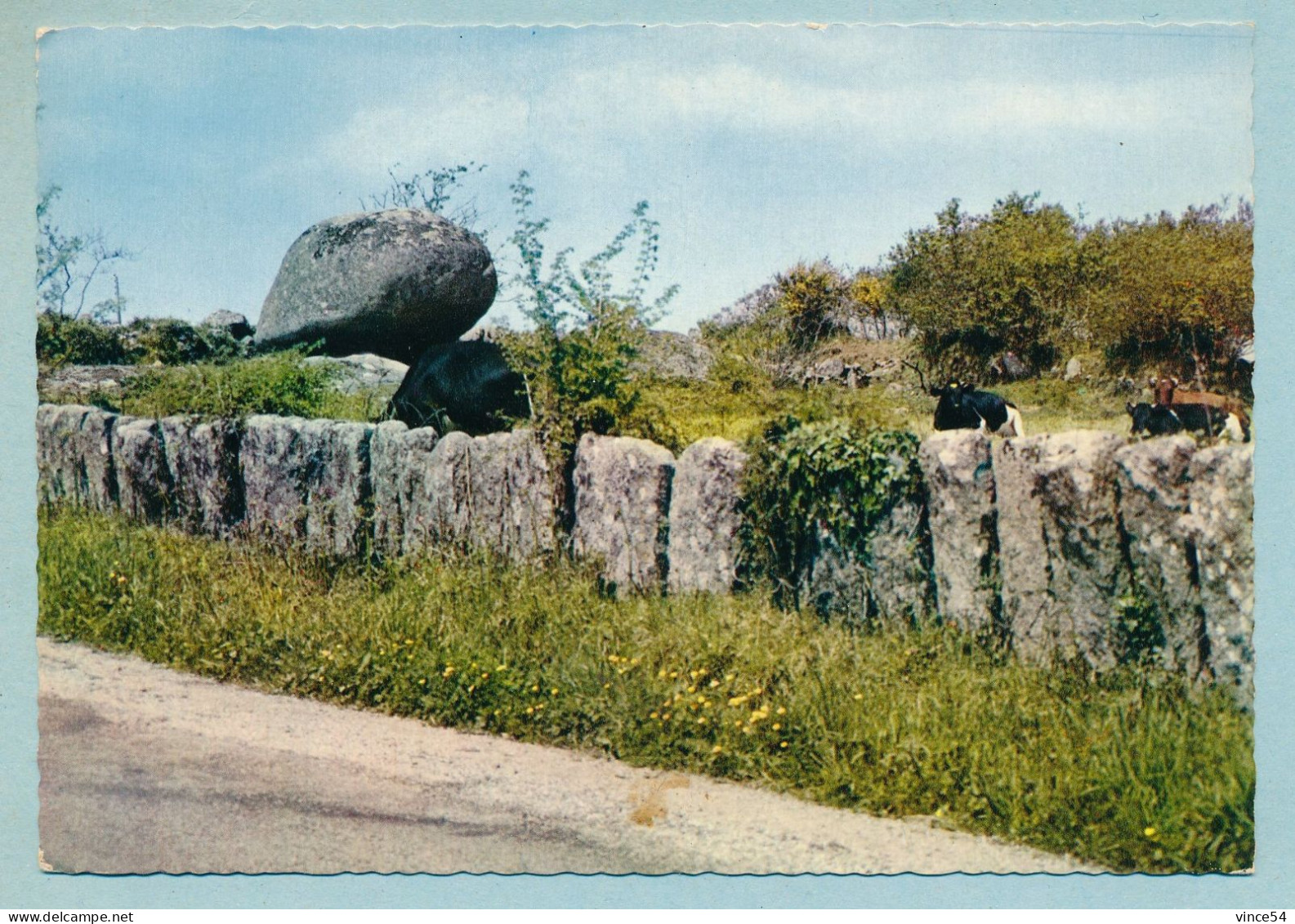 Trégunc - La Pierre Branlante De Kérouel Dite "Des Maris Trompés" - Trégunc