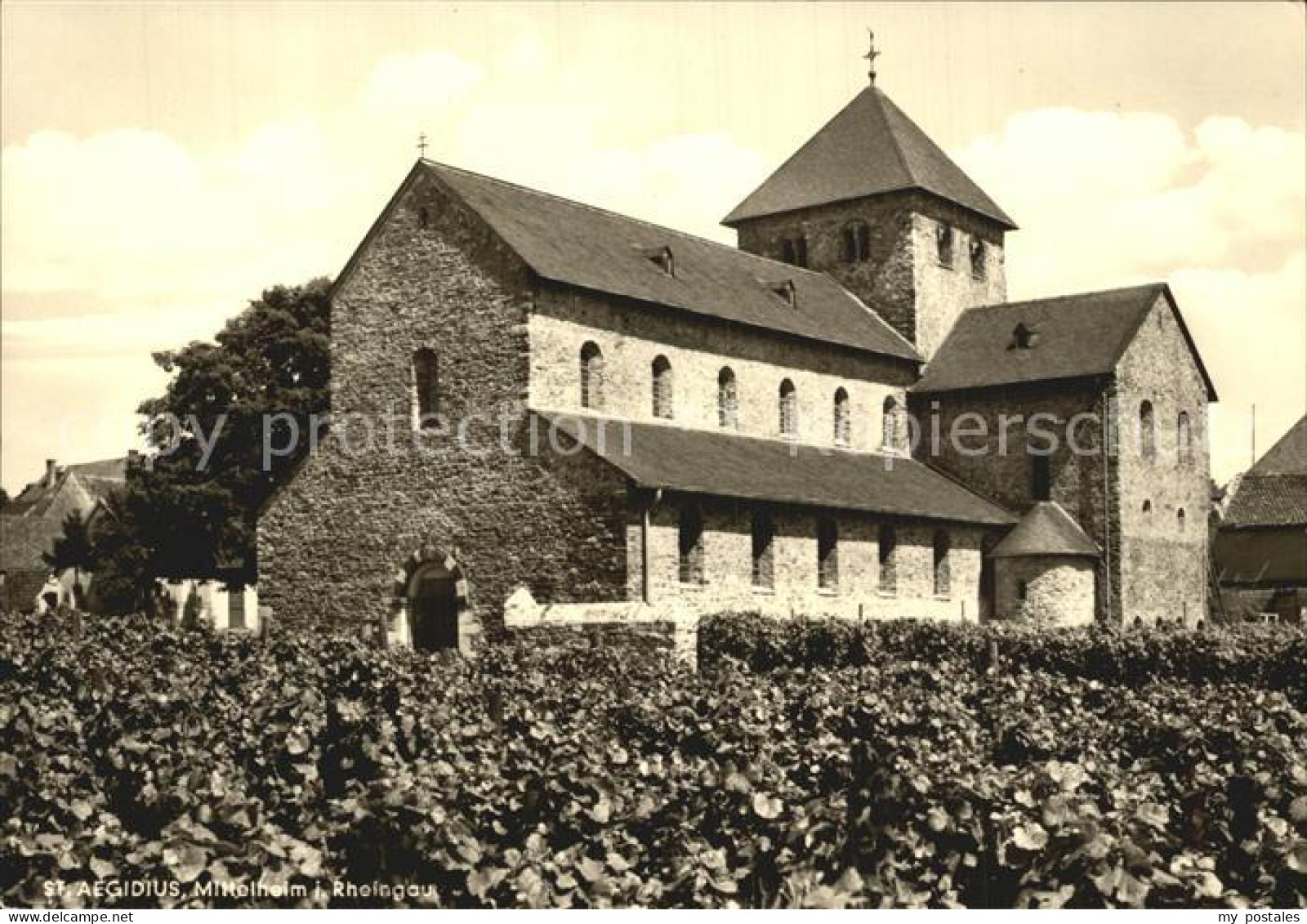 72462511 Mittelheim Rheingau St Aegidius Kirche Mittelheim Rheingau - Oestrich-Winkel