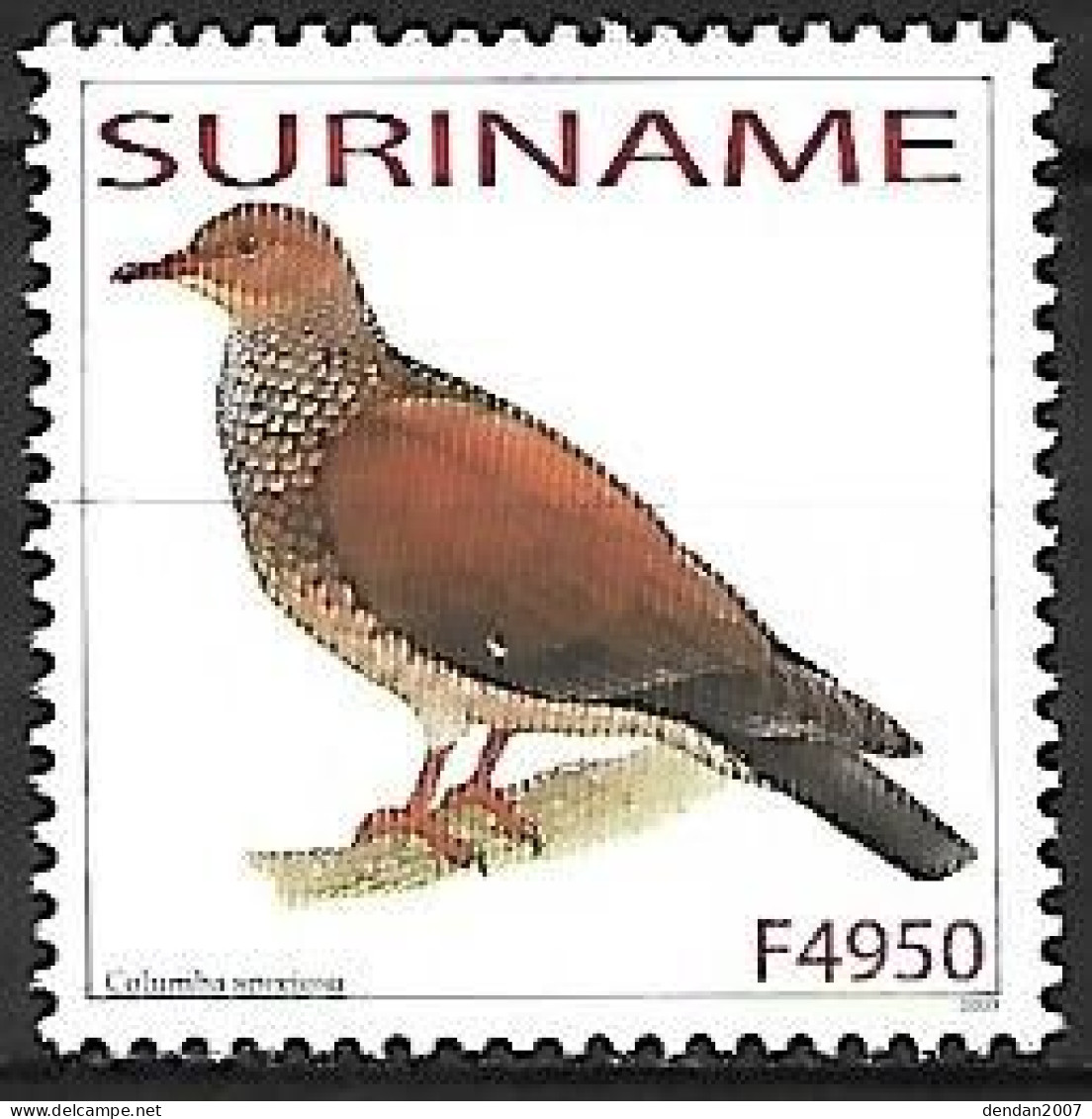 Suriname (Surinam) - MNH ** 2003 :   Scaled Pigeon  -  Patagioenas Speciosa - Columbiformes