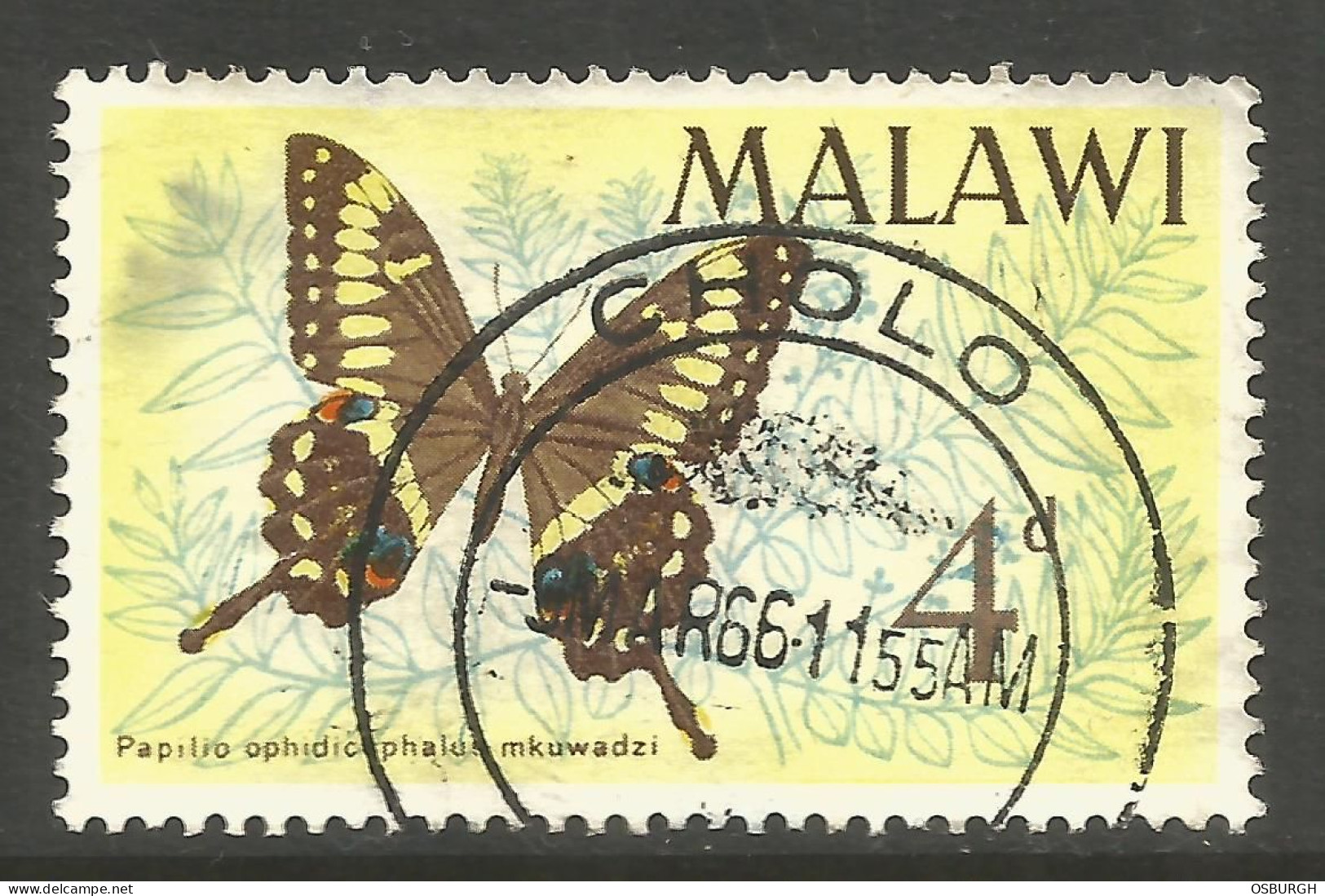 MALAWI. 4d BUTTERFLY USED CHOLO POSTMARK. - Malawi (1964-...)