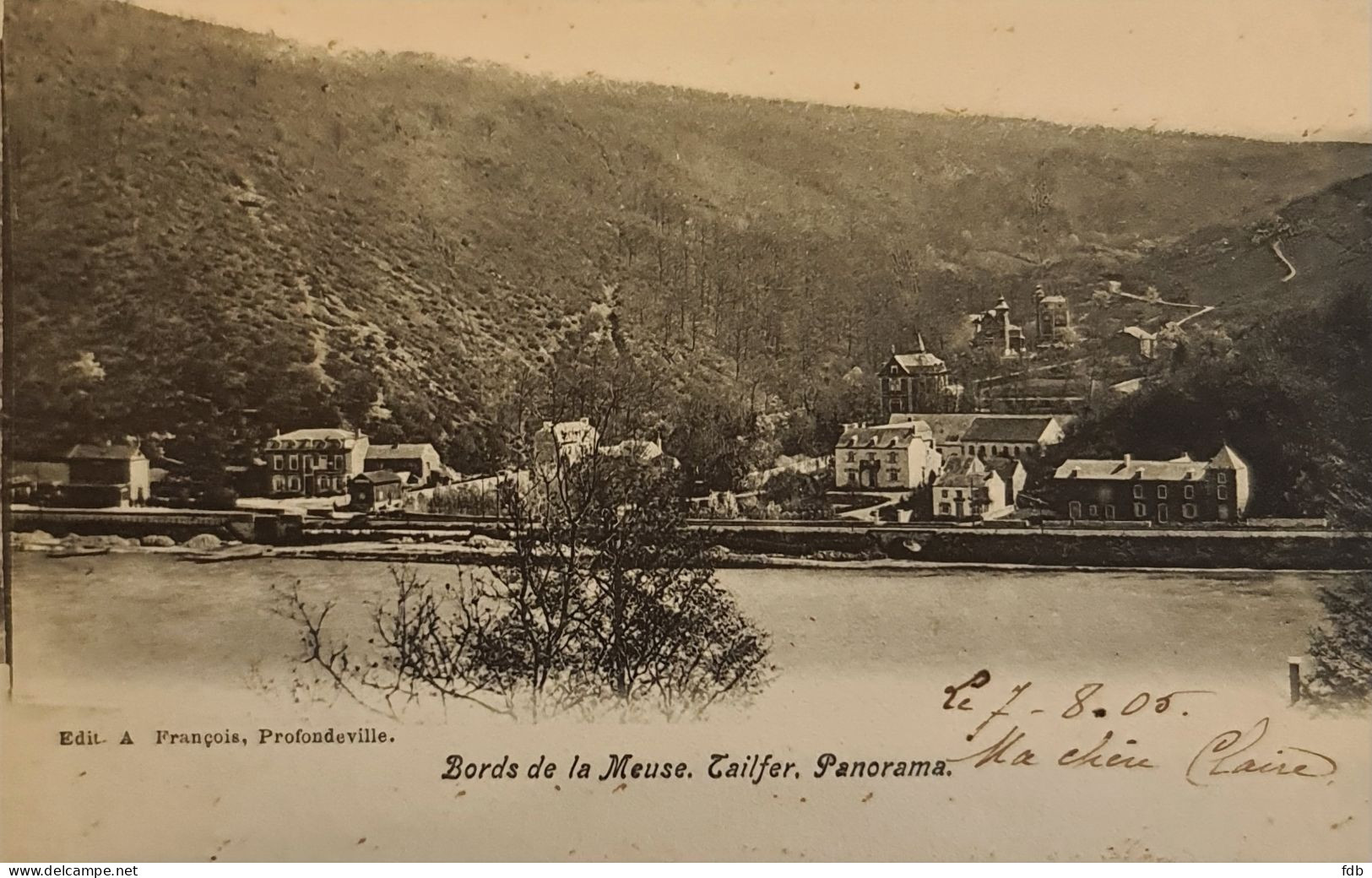 Tailfer  - Bords De La Meuse Panorama - Lustin - Profondeville
