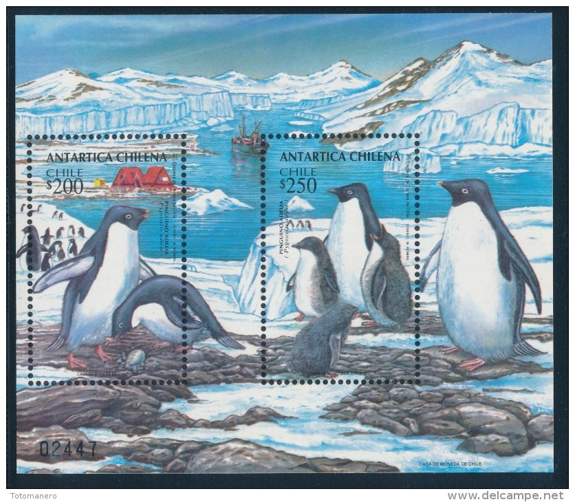 CHILE 1993 ANTARTICA CHILENA Adelie Penguins Minisheet** - Antarktischen Tierwelt