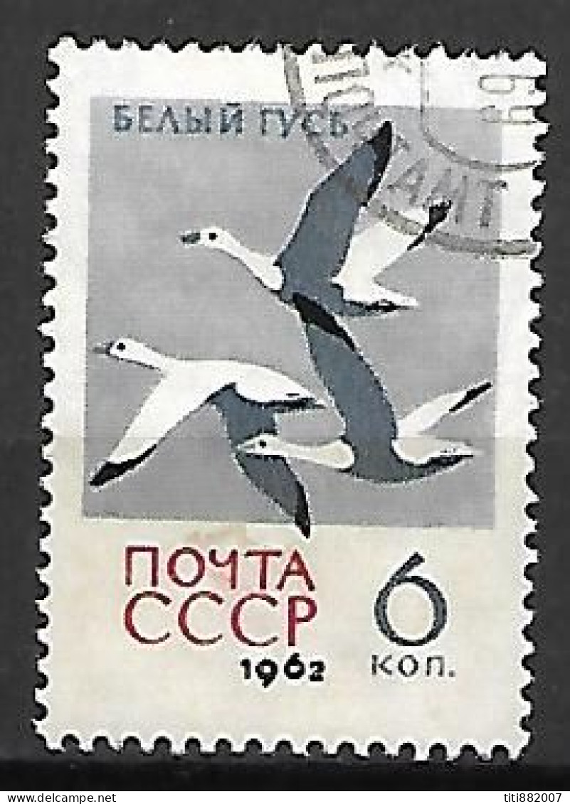 RUSSIE   /   URSS       -      OIES       -     Oblitéré - Gänsevögel