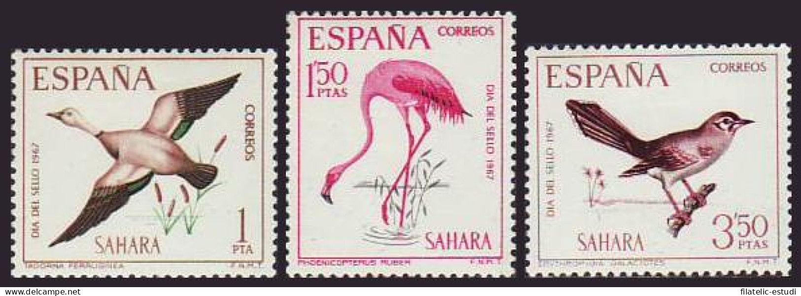 Sahara 262/64 1967 Día Del Sello Fauna (aves). Bird MNH - Sahara Spagnolo