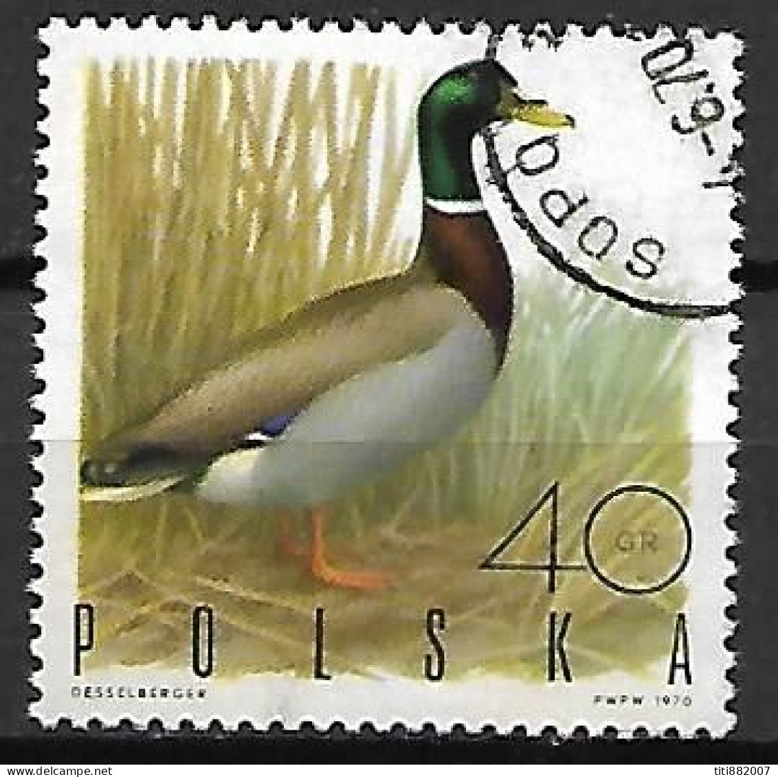 POLOGNE     -      CANARD   /   COLVERT     -    Oblitéré - Ducks