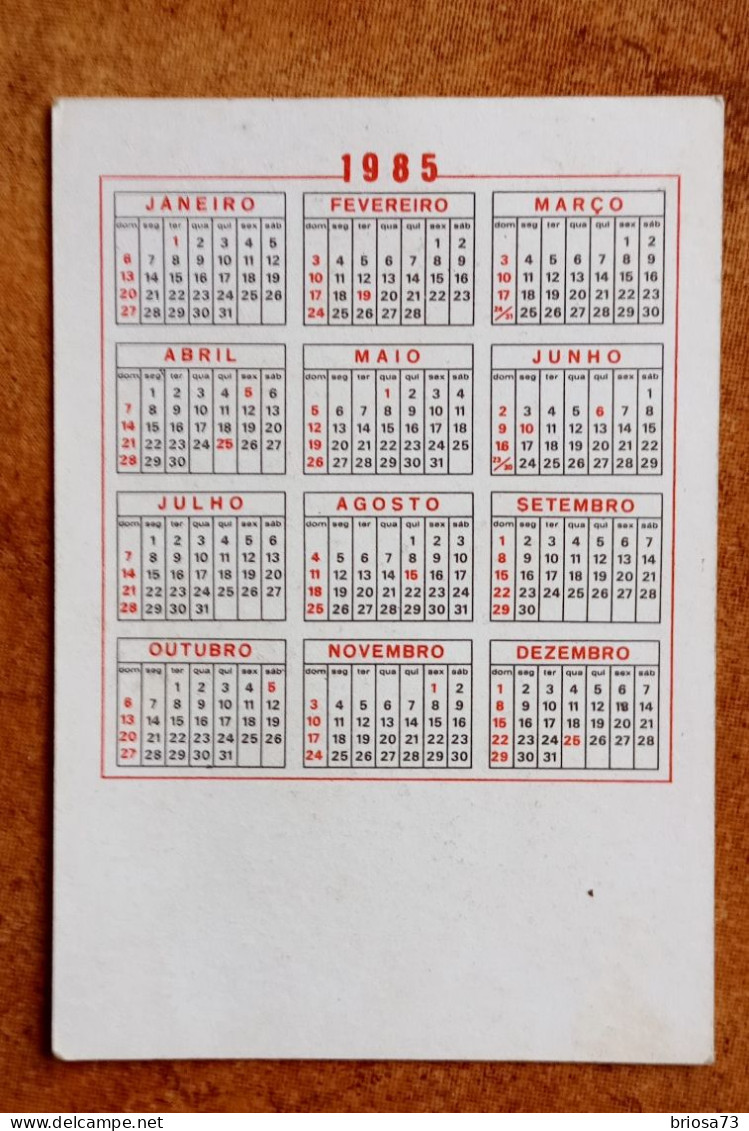 Calendrier De Poche Champignon. Bolet Bronzé - Petit Format : 1981-90