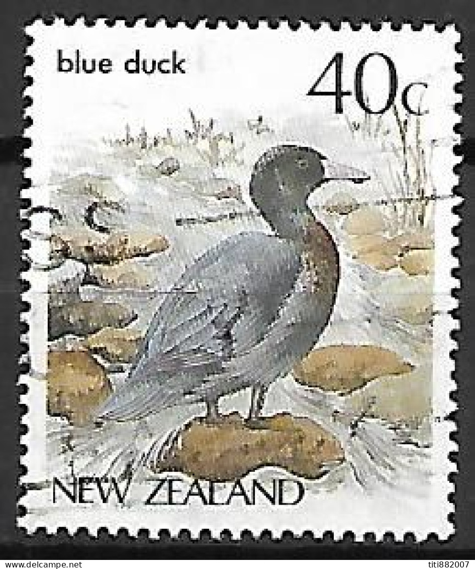 NOUVELLE  ZELANDE       -      BLUE  DUCK     -     Oblitéré - Entenvögel