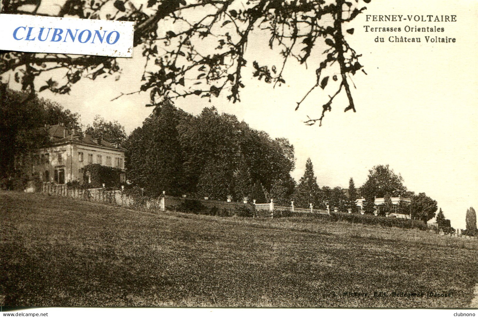 CPA - FERNEY-VOLTAIRE - CHATEAU VOLTAIRE - TERRASSES ORIENTALES - Ferney-Voltaire