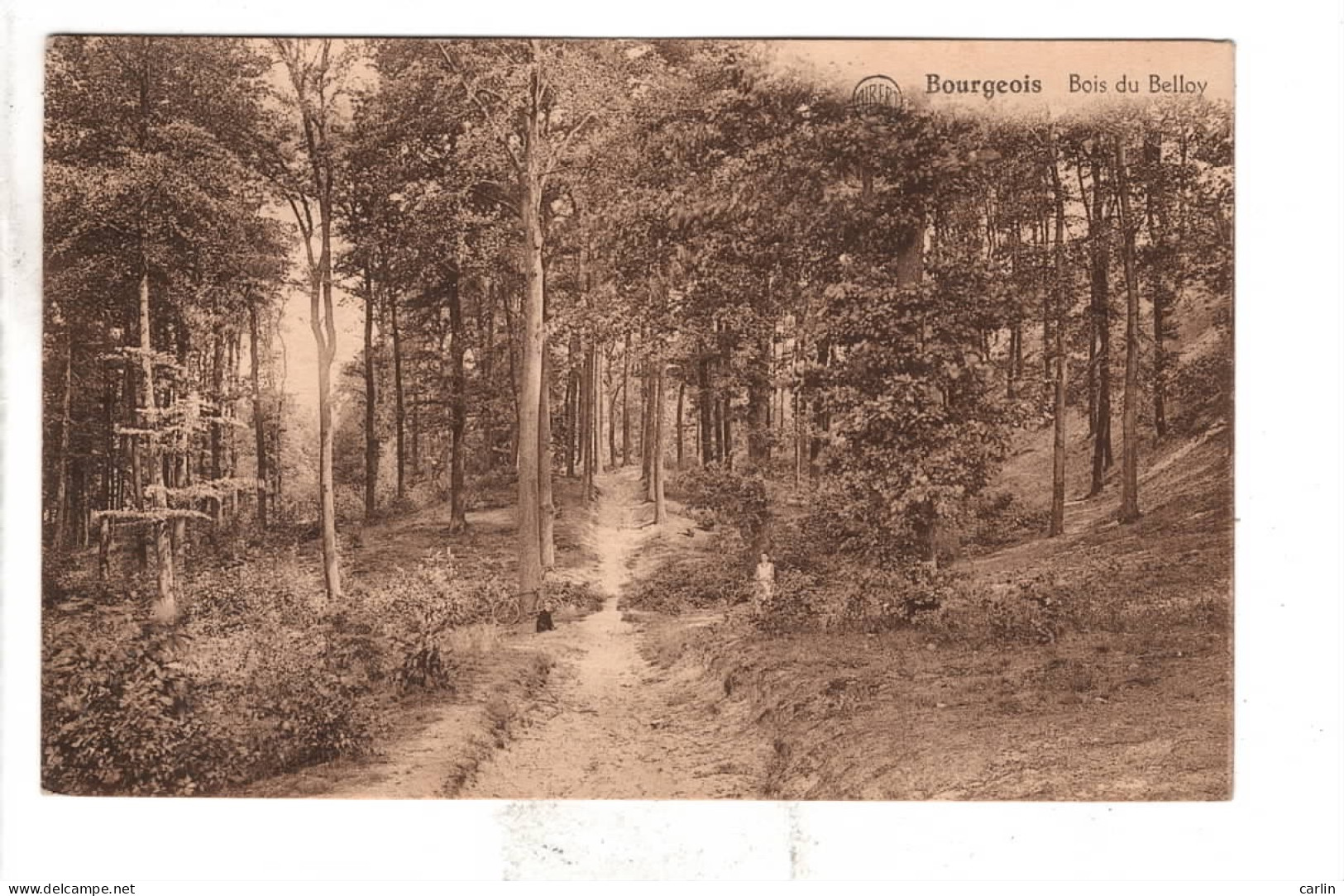 Bourgeois Bois Du Belloy - Rixensart