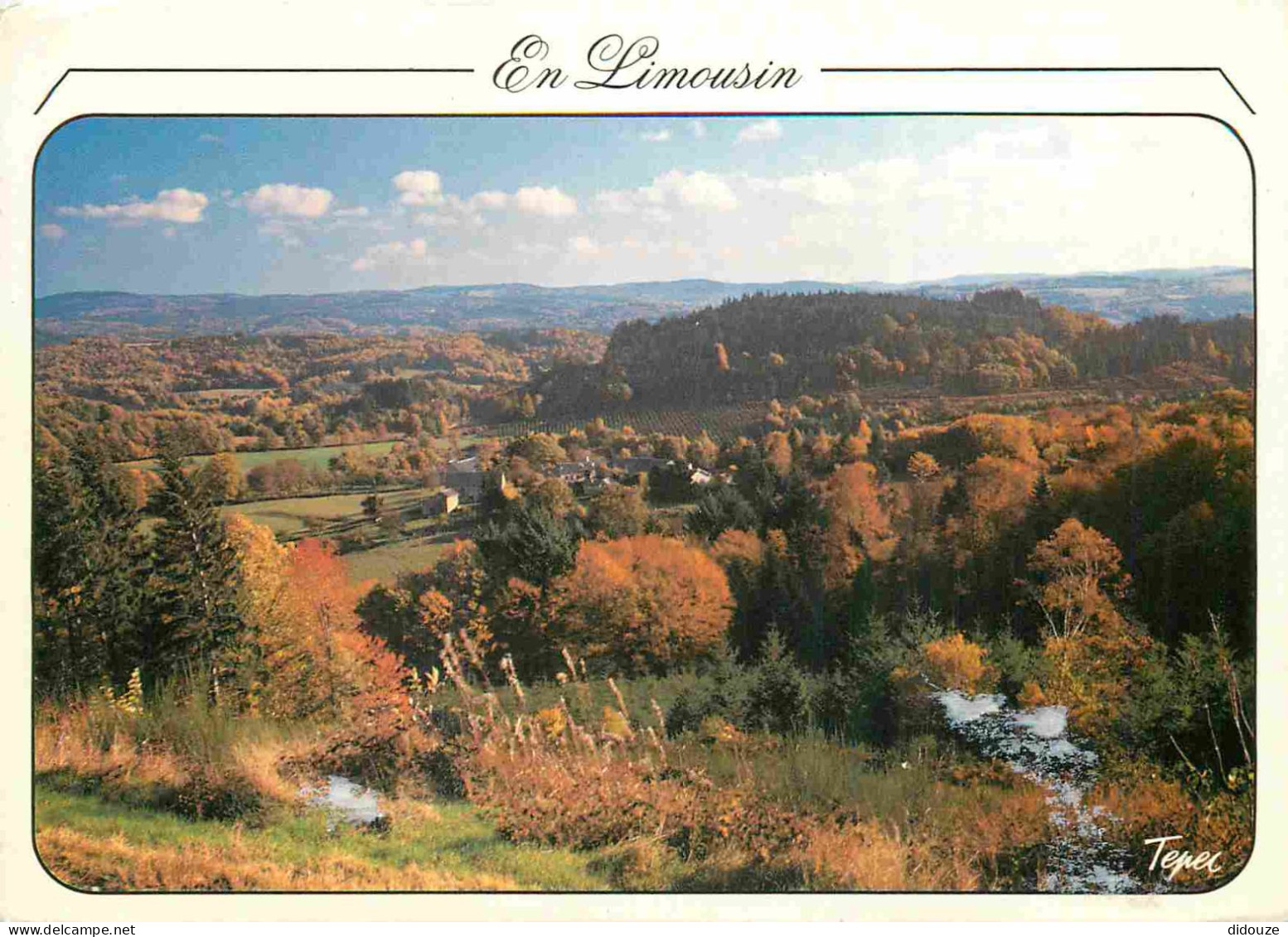 87 - Haute Vienne - Limousin - Forêt De Chaud - CPM - Voir Scans Recto-Verso - Aixe Sur Vienne